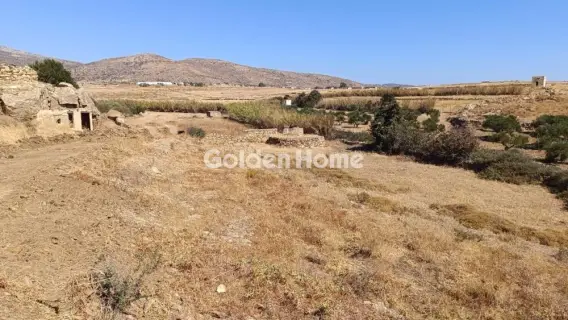 Αγροτεμάχιο 13700τ.μ. προς πώληση φωτογραφία 5558646