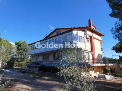 Building 720m<sup>2</sup> for sale photo 1