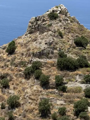 Residential 3500m<sup>2</sup> for sale photo 2