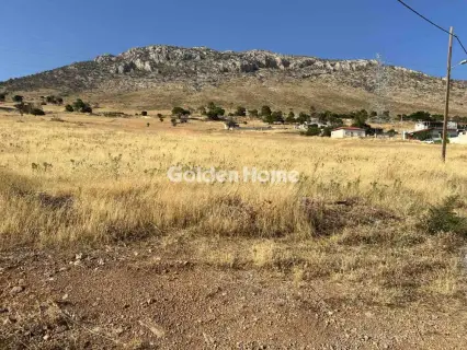Έκταση 6000τ.μ. προς πώληση φωτογραφία 5561066