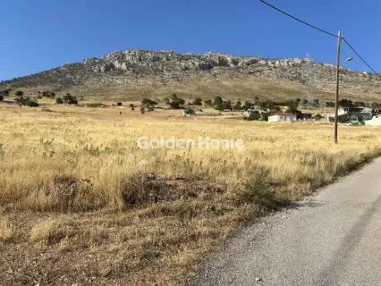 Έκταση 6000τ.μ. προς πώληση φωτογραφία 5561066