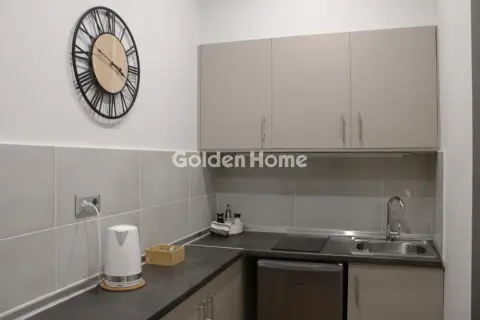 Studio 40m<sup>2</sup> for rent photo 3