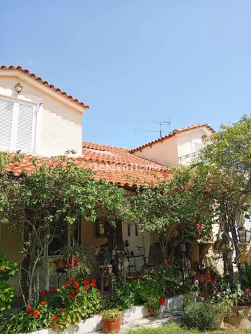 复合住宅 850m<sup>2</sup> for sale photo 8