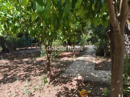 Διαμέρισμα 135τ.μ. προς πώληση φωτογραφία 5573158