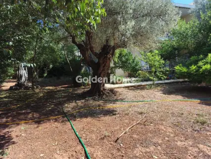 Διαμέρισμα 135τ.μ. προς πώληση φωτογραφία 5573160