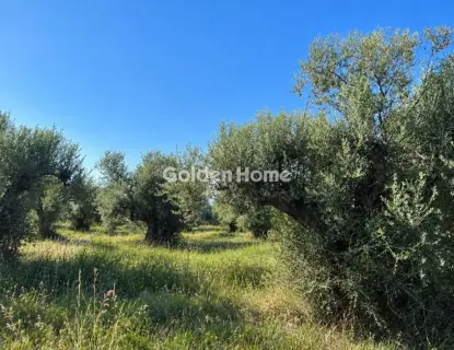 Οικιστικό 4000τ.μ. προς πώληση φωτογραφία 5636660
