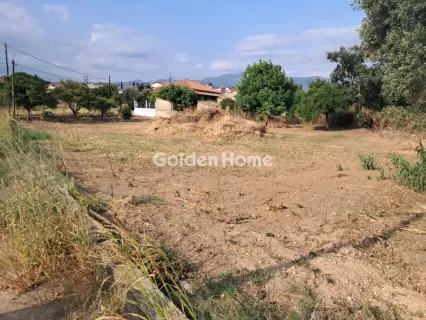 Residential 1260m<sup>2</sup> for sale photo 5581532