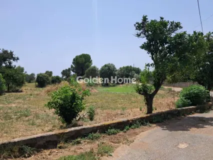 Residential 1260m<sup>2</sup> for sale photo 5581534