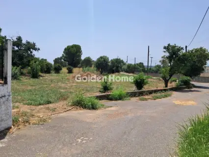 Residential 1260m<sup>2</sup> for sale photo 5581536