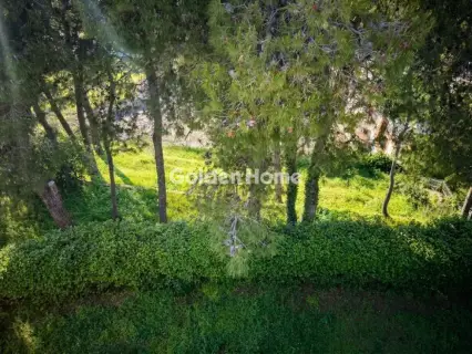 Μονοκατοικία 410τ.μ. προς πώληση φωτογραφία 8