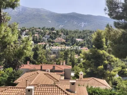 Μονοκατοικία 389τ.μ. προς πώληση φωτογραφία 5564683
