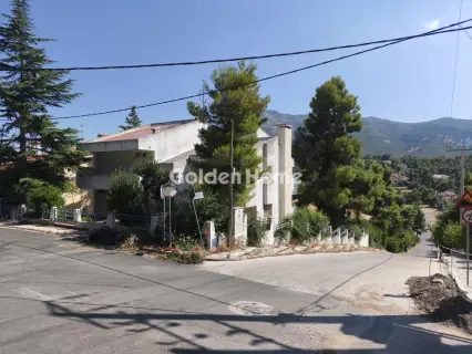 Μονοκατοικία 389τ.μ. προς πώληση φωτογραφία 5564681