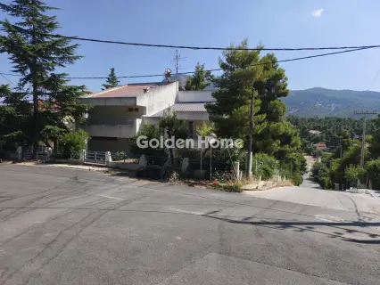Μονοκατοικία 389τ.μ. προς πώληση φωτογραφία 5564682