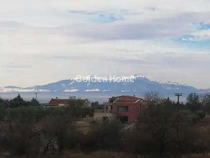 Μεζονέτα Ανεξάρτητη 330τ.μ. προς πώληση φωτογραφία 5565293