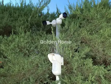 Μεζονέτα Ανεξάρτητη 330τ.μ. προς πώληση φωτογραφία 5565298
