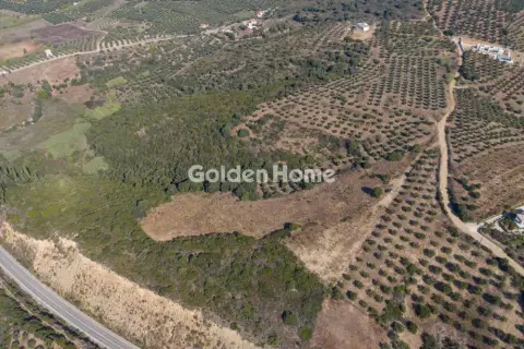 Residential 9200m<sup>2</sup> for sale photo 5581592