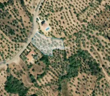 Residential 2760m<sup>2</sup> for sale photo 5581631