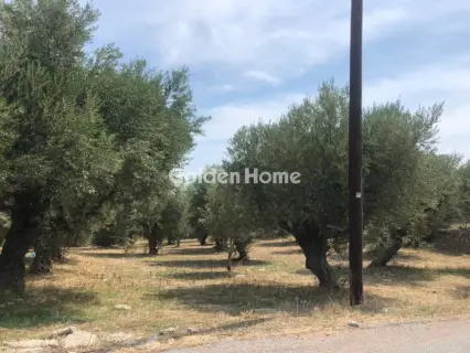 Residential 2760m<sup>2</sup> for sale photo 5581636