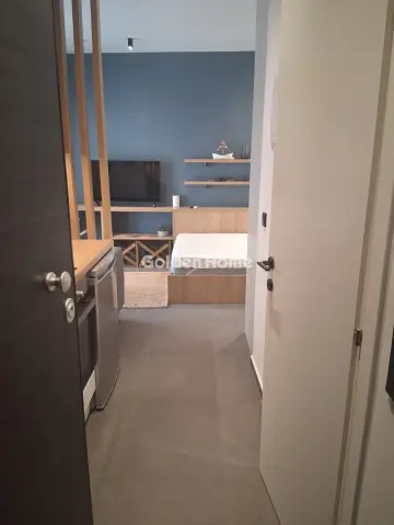 Studio 28m<sup>2</sup> for rent photo 5568883