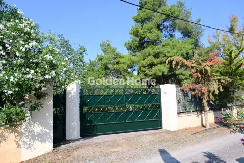 Οικιστικό 6000τ.μ. προς πώληση φωτογραφία 1
