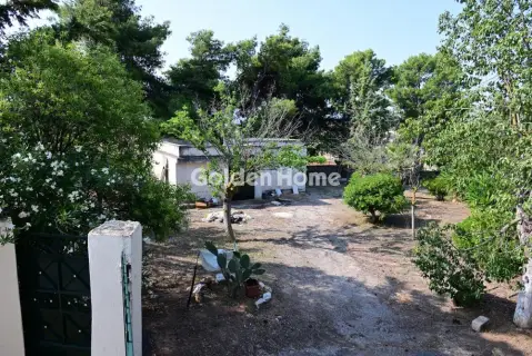 Οικιστικό 6000τ.μ. προς πώληση φωτογραφία 2