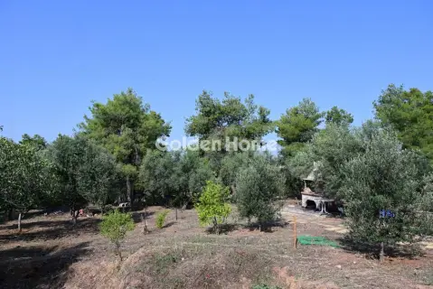Οικιστικό 6000τ.μ. προς πώληση φωτογραφία 5669159