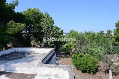 Οικιστικό 6000τ.μ. προς πώληση φωτογραφία 5669172