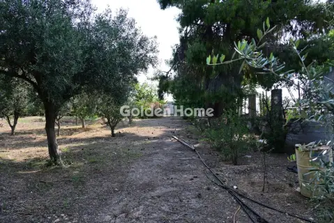 Οικιστικό 6000τ.μ. προς πώληση φωτογραφία 5669173