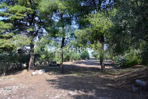 Οικιστικό 6000τ.μ. προς πώληση φωτογραφία 5669254