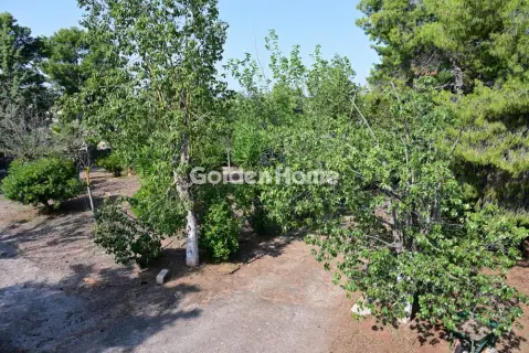 Οικιστικό 6000τ.μ. προς πώληση φωτογραφία 5669256