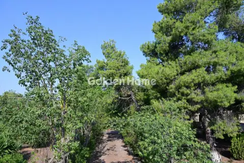 Οικιστικό 6000τ.μ. προς πώληση φωτογραφία 5669258