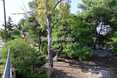 Οικιστικό 6000τ.μ. προς πώληση φωτογραφία 5669276