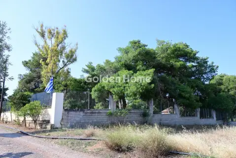 Οικιστικό 6000τ.μ. προς πώληση φωτογραφία 5669278