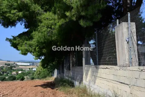 Οικιστικό 6000τ.μ. προς πώληση φωτογραφία 5669280