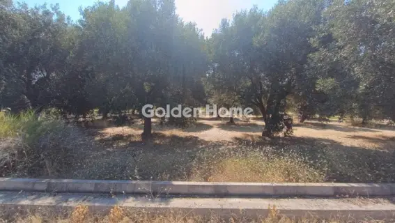 Οικιστικό 886τ.μ. προς πώληση φωτογραφία 5571803