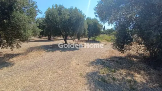 Οικιστικό 886τ.μ. προς πώληση φωτογραφία 5571802