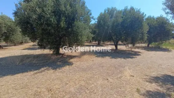 Οικιστικό 886τ.μ. προς πώληση φωτογραφία 5571805
