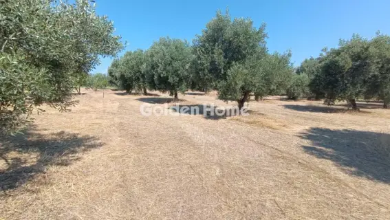 Οικιστικό 886τ.μ. προς πώληση φωτογραφία 5571806