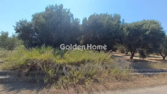 Οικιστικό 886τ.μ. προς πώληση φωτογραφία 5571807