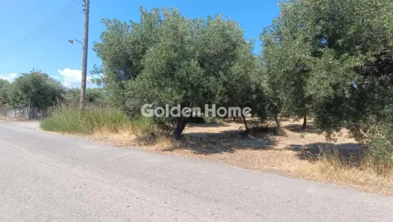 Οικιστικό 886τ.μ. προς πώληση φωτογραφία 5571808