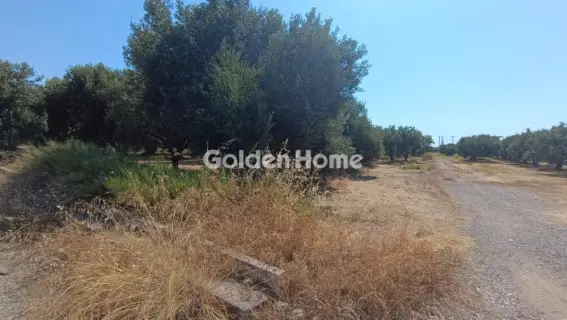 Οικιστικό 886τ.μ. προς πώληση φωτογραφία 5571809