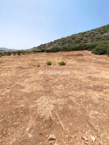 Αγροτεμάχιο 4060τ.μ. προς πώληση φωτογραφία 5589577