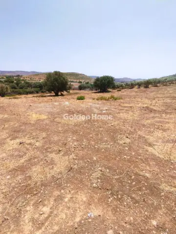 Αγροτεμάχιο 4060τ.μ. προς πώληση φωτογραφία 5589577