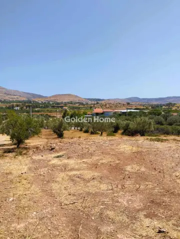 Αγροτεμάχιο 4060τ.μ. προς πώληση φωτογραφία 5589577