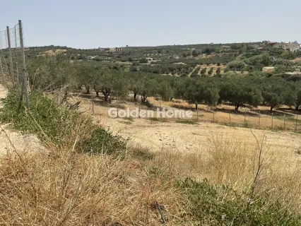 Residential 1194m<sup>2</sup> for sale photo 1
