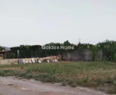 Residential 800m<sup>2</sup> for sale photo 5569977