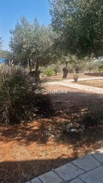 Γκαρσονιέρα 39τ.μ. προς πώληση φωτογραφία 5592015