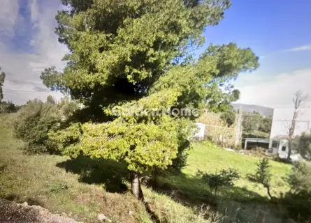 Residential 1074m<sup>2</sup> for sale photo 5572378