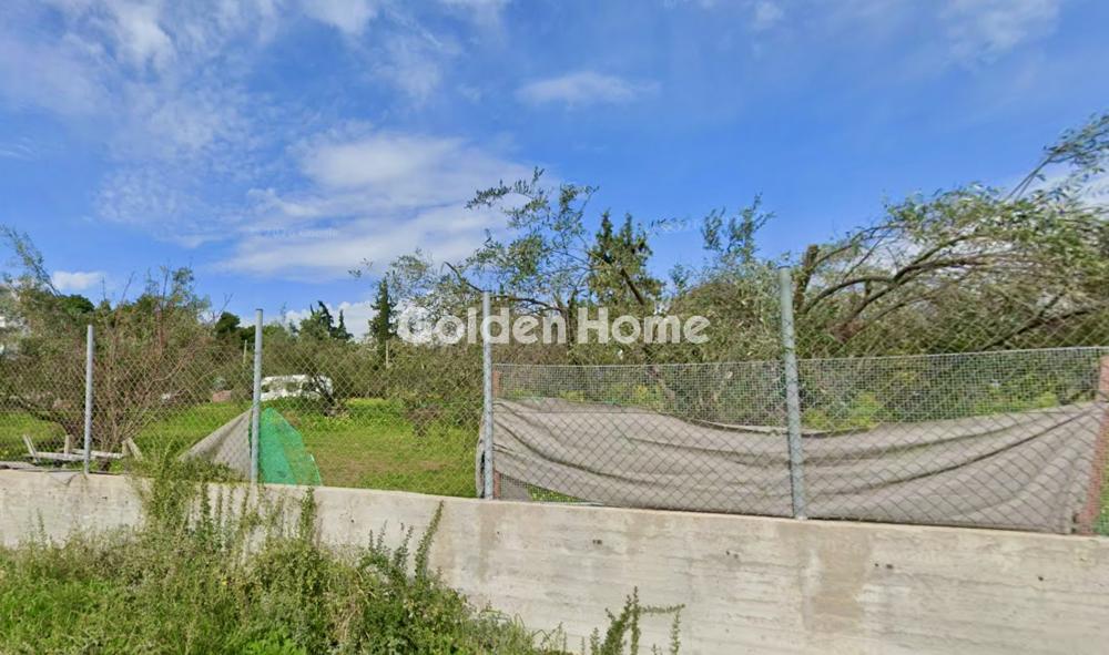 building-plot στην Παλλήνη — Φωτογραφία 5 από 6