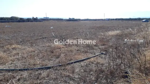 Residential 8062m<sup>2</sup> for sale photo 6